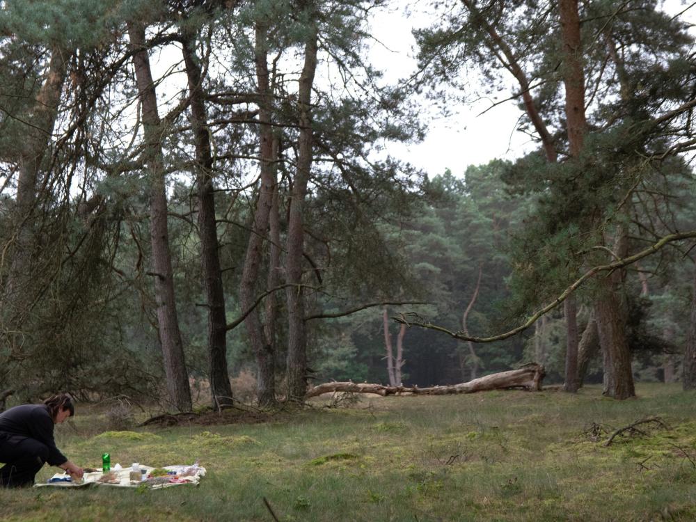Susanne Luurs - Kunstpunt Groningen