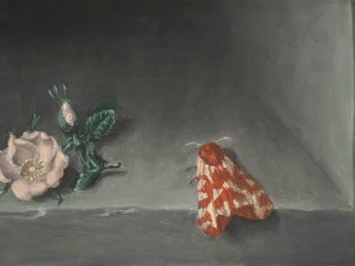 Copy/Paste - groepstentoonstelling